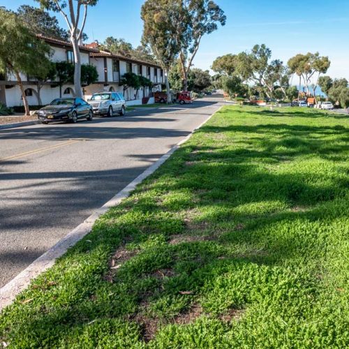 cityhallmedian_old1